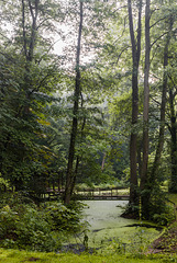 Worpswede - Barkenhoff - Steg im Regen - 20140706