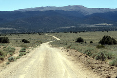 Risue Creek road