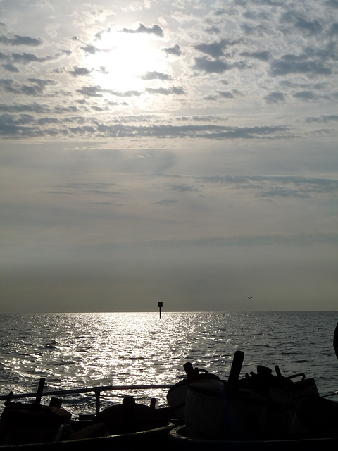 ferry back to Onancock