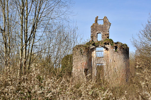 Ruines du Château de Vaujours - Indre-et-Loire