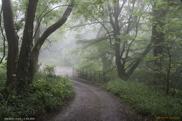 in the undercliff