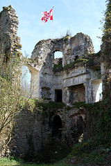 Ruines du logis du Château de Vaujours - Indre-et-Loire