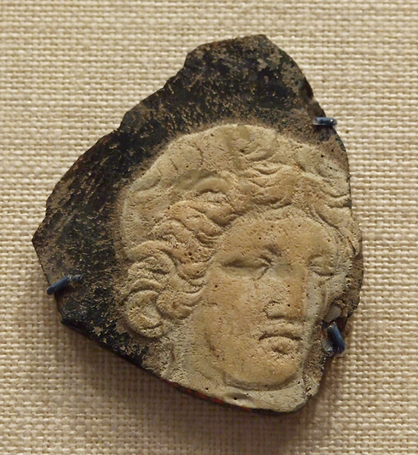 Cameo Glass Fragment in the Metropolitan Museum of Art, May 2011