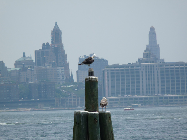 Liberty State Park