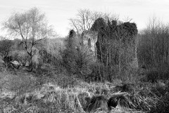 Ruines du Château de Vaujours - Indre-et-Loire