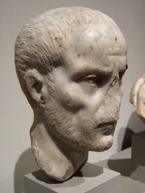 Severan Portrait of a Man in the Metropolitan Museum of Art, December 2010