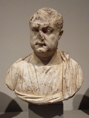 Marble Portrait Bust of a Man in the Metropolitan Museum of Art, November 2010