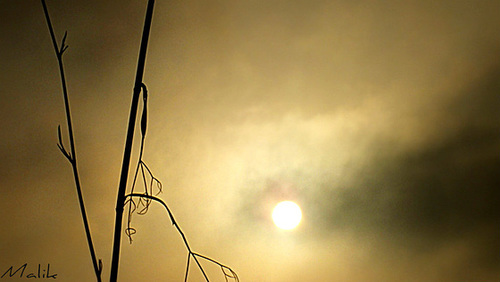 DSCF2770