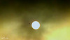 DSCF2776