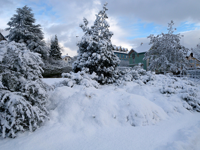 BELFORT: 17/12/2010: Chute de neige