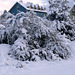 BELFORT: 17/12/2010: Chute de neige