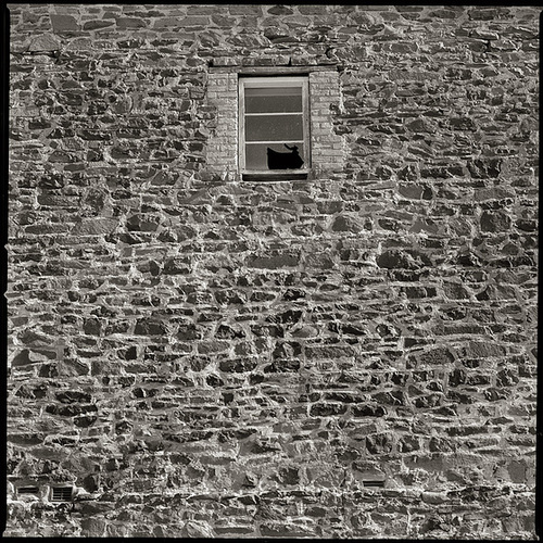 Broken Pane Crookwell