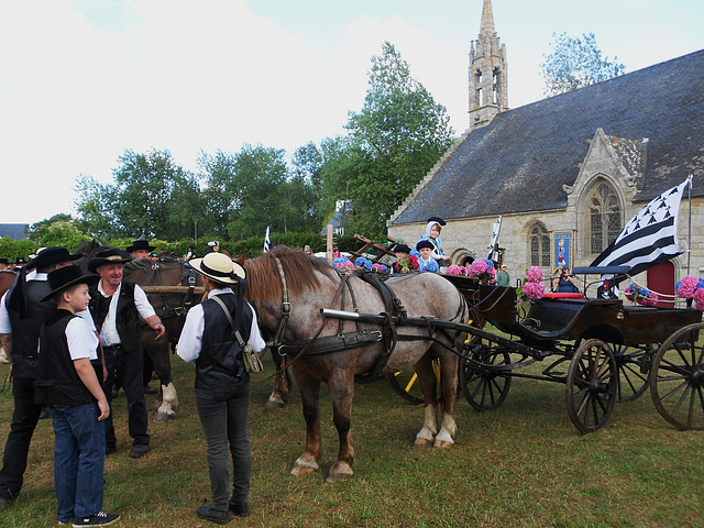 bénédiction des chevaux