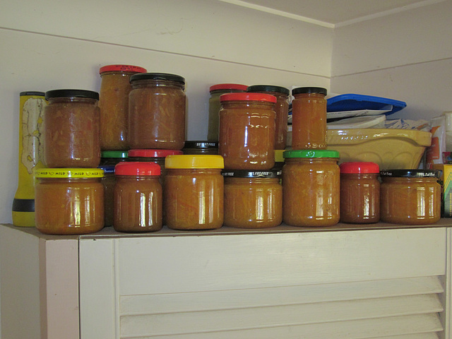 MandarinMarmalade082013 006