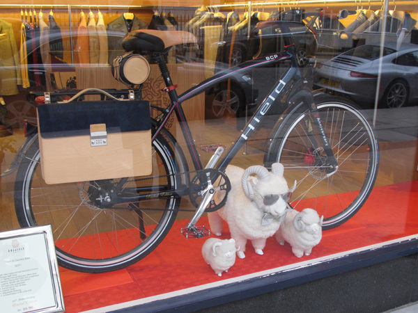 Sheep with bike