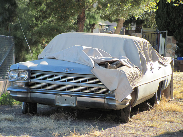 1964 Cadillac