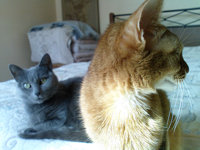 Mini-abby and Russian thunder cloud