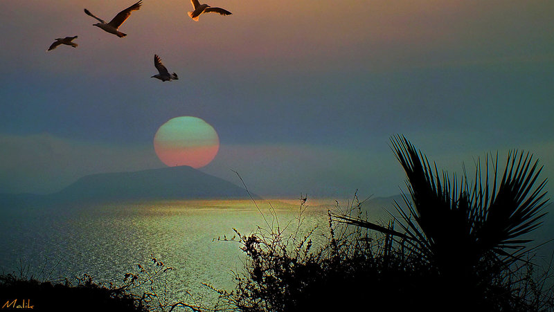 Bonne journée/Happy Day.