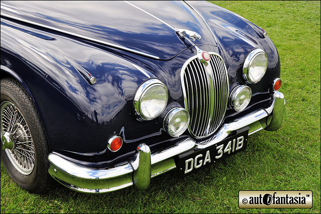 1963 Jaguar - DGA 341B