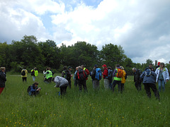 Randonnée Bombon-La Chapelle Gauthier-Bombon - 25/05/2013