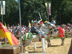 DSC03956