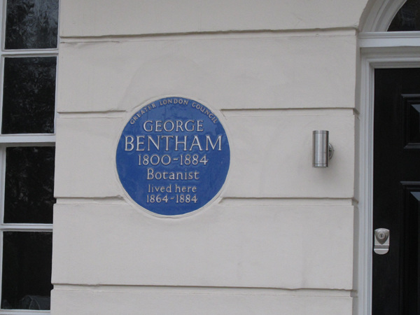 George Bentham