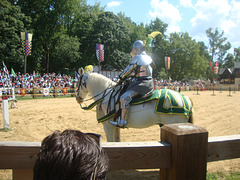 DSC03959