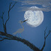枝の鳥は月にウサギを見て...