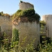 Château du Coudray-Salbart