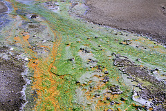 Geyser Runoff
