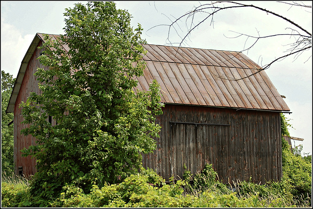 A Barn