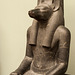 Anubis