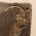 Egyptian profile