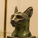 Egyptian cat