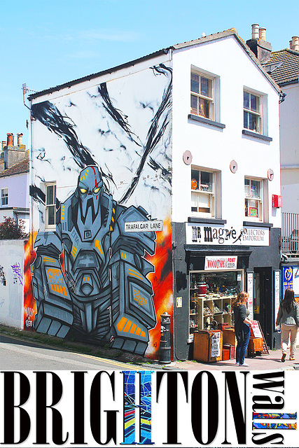 Brighton walls - MR MAGPIE - 5.5.2013