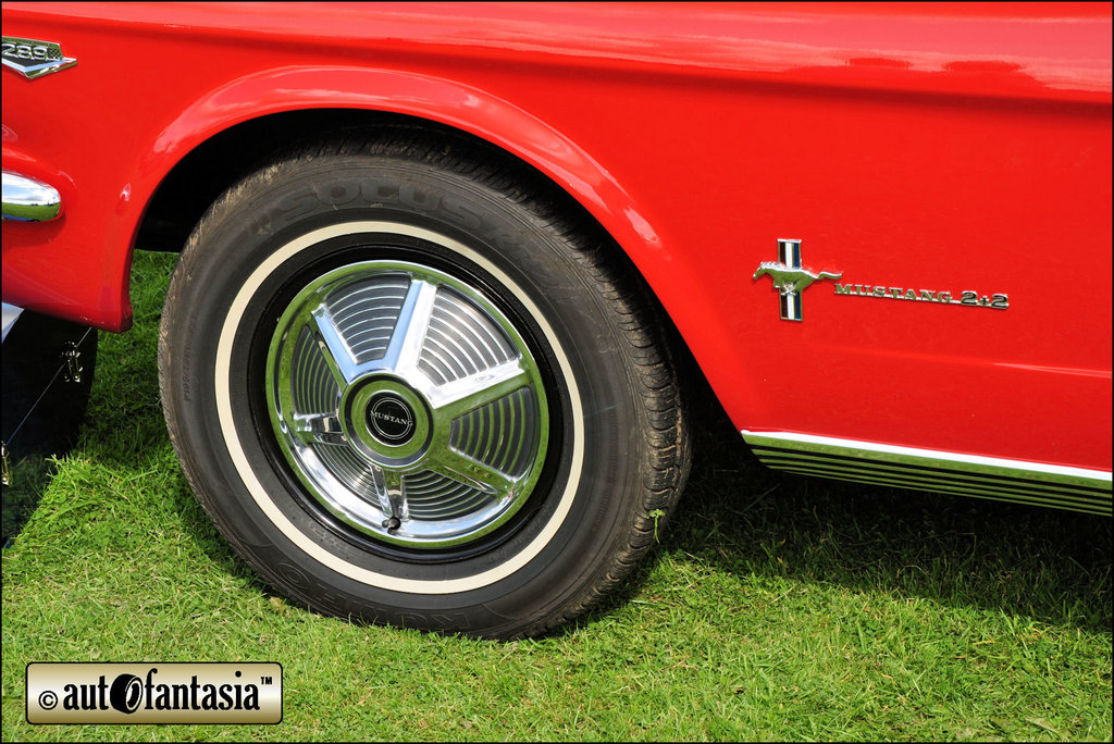 Ford Mustang - GGL 11