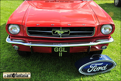 Ford Mustang - GGL 11