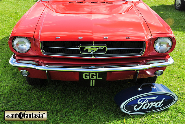 Ford Mustang - GGL 11