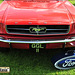 Ford Mustang - GGL 11