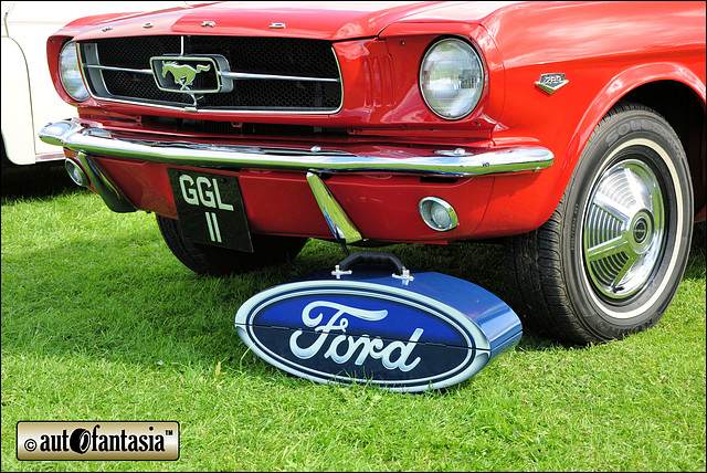 Ford Mustang - GGL 11