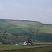 IMGP4653