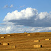 Eastern Washington Haying Time