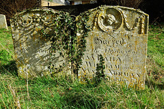 st.mary the less, thetford