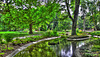 BESANCON: Promenade Micaud: Le bassin 03.