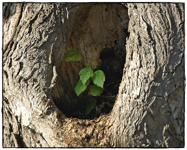 Sheltered