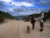 Sandstorm On Farraid Head