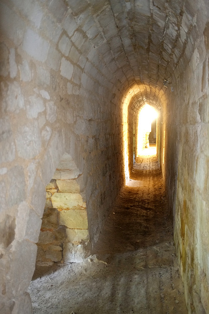 Château du Coudray-Salbart