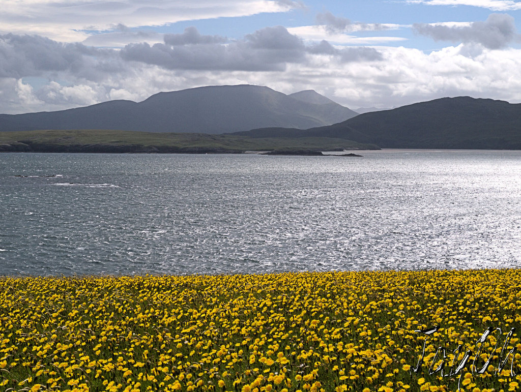 Balnakeil Bay From Farraid Head