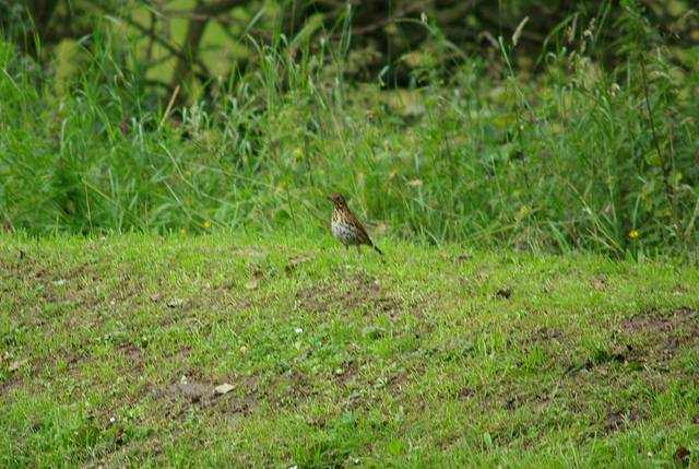 ipernity: Padfield - by Colin Ashcroft