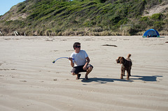 afternoon at the beach